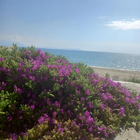 Rhapsody House Отель типа 