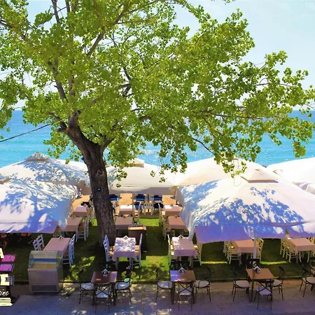 Bed and Breakfast Rhapsody House 4*