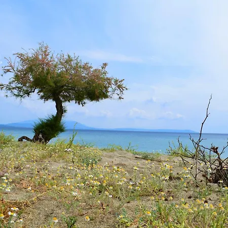 Rhapsody House Bed and Breakfast Βρασνά